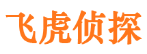 青县市调查公司